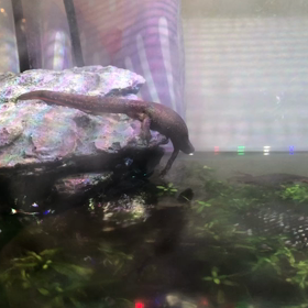 今日の気になる出来事の画像