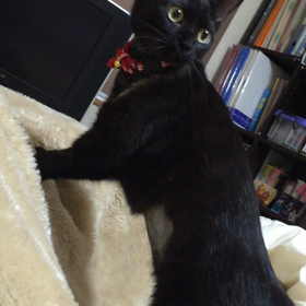 ひとみばぁーさん(Ŏ艸Ŏ)の画像