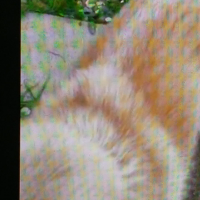 可愛くて…の画像