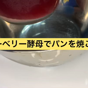 ブルーベリー酵母でパンを焼こう！前編の画像