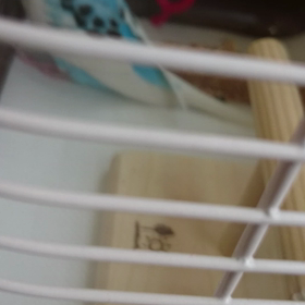 Cocoちゃんです。の画像