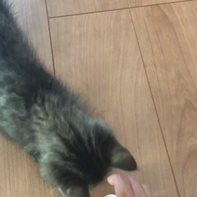 ちら見✨の画像