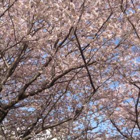 情緒不安定の画像