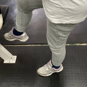 ハムの動きの画像