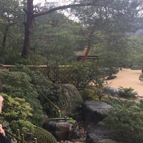 ニャンニャン日記(^O^)／足立美術館⚡✨‼の画像