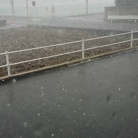 久しぶりの雪。の画像