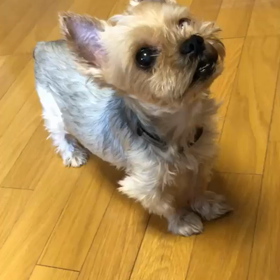 あれから一年元気ですの画像