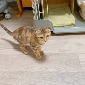 ひじき＆むぎ。の画像