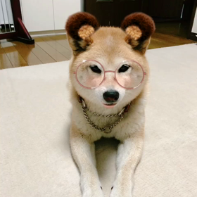 Snow可愛いシリーズの画像