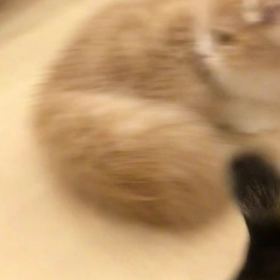 ”今日の漢字リクエスト2022-42「三人寄れば 文殊の知恵」を 行書で書く”の画像