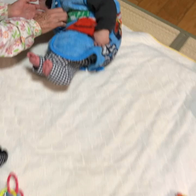 6m23d  心臓のエコー検査への画像