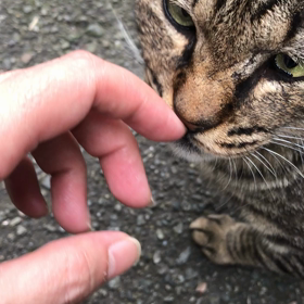 コワモテおやじの画像