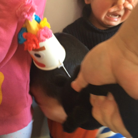 豆まき動画の画像