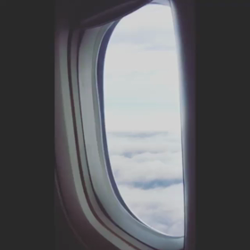 フンちゃん、東京にいるのねの画像