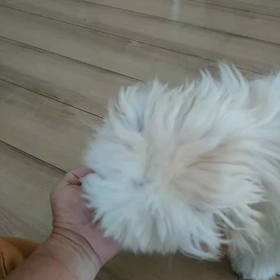 余裕だよ〜(-_-;)の画像