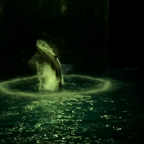 Re:103623    月に恋したイルカは空を飛ぶの画像