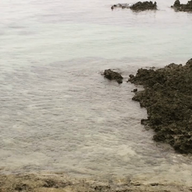 見えているもの✨の画像