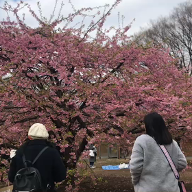 ♪お散歩動画♪代々木公園♪の画像