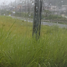 また✕4雨☔の画像