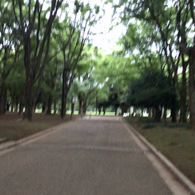 ♪お散歩動画♪代々木公園♪の画像