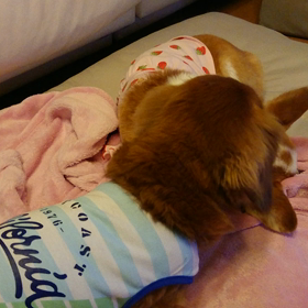 仲良し・・・だから？の画像