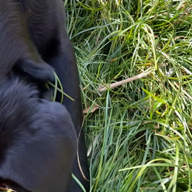 天然素材の土埃舞う。の画像