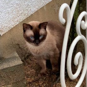 9/8（水）情緒の乱れなく、、、の画像