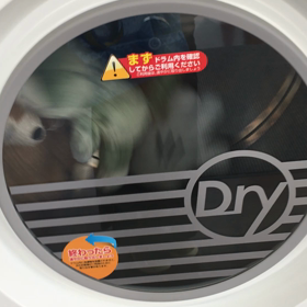 ぬいぐるみ洗濯その②の画像