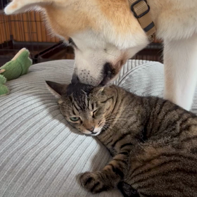 2023年9月24日(日)の画像