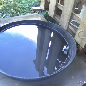 すぎぴたんの事件簿シーズン3　31話（激しいヤマガラ）の画像