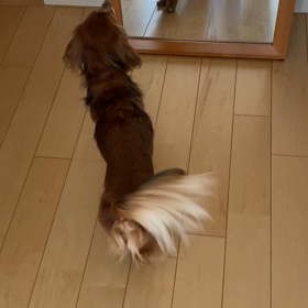 雨を願う…の画像