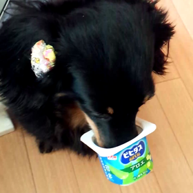 今日は会社休みますの画像