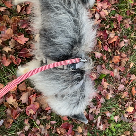 大学病院神経科③の画像