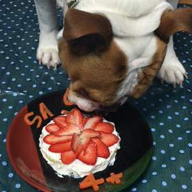 お江戸へ。の画像