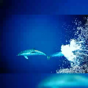 海の癒しの画像