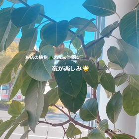 16日当日ご予約可能です！の画像