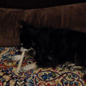 うまし・・・（≧∇≦）の画像