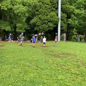 ダッシュ(黄緑)②の画像