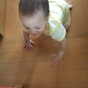 ハイハイしてるー！の画像