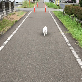 3/19「れおの命日！/レオ」の画像