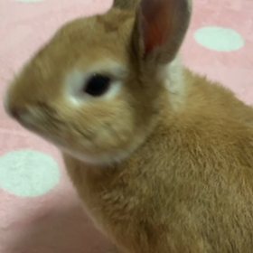 びっくりしたな〜もぉ〜の画像