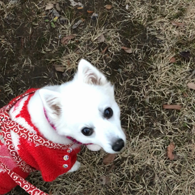 さむーい中の画像