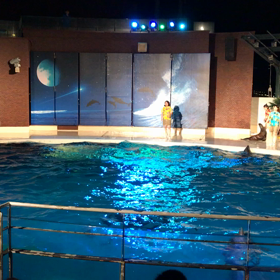 夜の水族館･.｡*･.｡*の画像