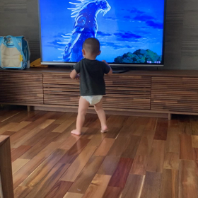 我が家のコダマ。の画像