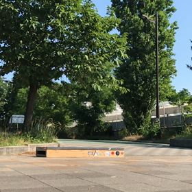 今朝のSHINYA師匠の画像