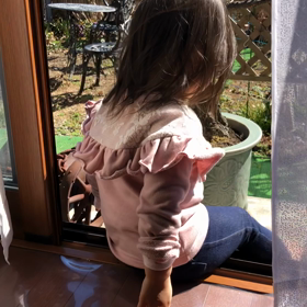 春風少女४*ପ꒰⑅•ᴗ•｡꒱໊੭♡♩の画像