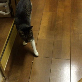 帰りました。の画像