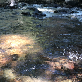 Nothing Lasts Forever  瞬時に変わりゆく人生の画像