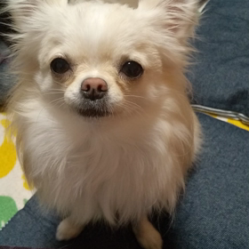 できるようになりました。の画像