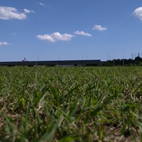 お散歩 (DOBBY 空撮)の画像